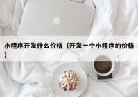 小程序开发什么价格（开发一个小程序的价格）