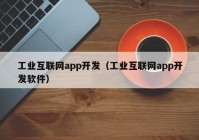 工业互联网app开发（工业互联网app开发软件）