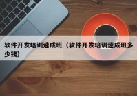 软件开发培训速成班（软件开发培训速成班多少钱）