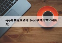 app开发程序公司（app软件开发公司简介）