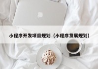 小程序开发项目规划（小程序发展规划）