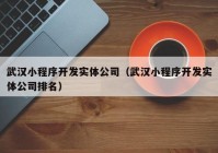 武汉小程序开发实体公司（武汉小程序开发实体公司排名）