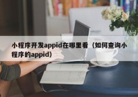 小程序开发appid在哪里看（如何查询小程序的appid）