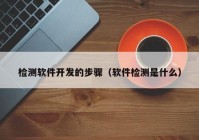 检测软件开发的步骤（软件检测是什么）