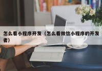 怎么看小程序开发（怎么看微信小程序的开发者）