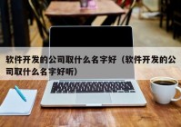 软件开发的公司取什么名字好（软件开发的公司取什么名字好听）