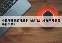 小程序开发公司属于什么行业（小程序开发是干什么的）