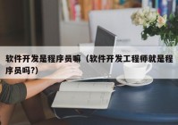 软件开发是程序员嘛（软件开发工程师就是程序员吗?）