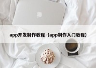 app开发制作教程（app制作入门教程）