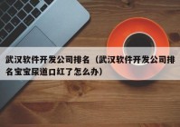 武汉软件开发公司排名（武汉软件开发公司排名宝宝尿道口红了怎么办）