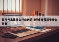 软件开发是什么行业代码（程序开发属于什么行业）