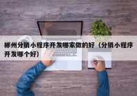 郴州分销小程序开发哪家做的好（分销小程序开发哪个好）