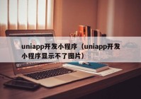 uniapp开发小程序（uniapp开发小程序显示不了图片）