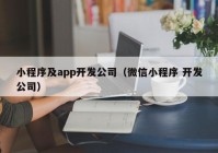 小程序及app开发公司（微信小程序 开发公司）