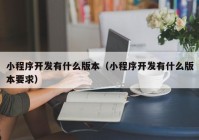 小程序开发有什么版本（小程序开发有什么版本要求）