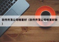 软件开发公司哪里好（软件开发公司哪里好做）