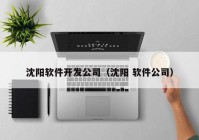 沈阳软件开发公司（沈阳 软件公司）