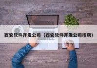 西安软件开发公司（西安软件开发公司招聘）