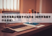 软件开发类公司属于什么行业（软件开发属于什么企业）