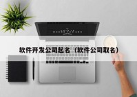 软件开发公司起名（软件公司取名）