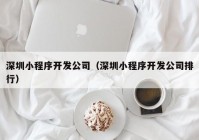 深圳小程序开发公司（深圳小程序开发公司排行）