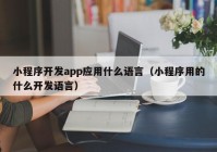 小程序开发app应用什么语言（小程序用的什么开发语言）