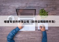 哪里有软件开发公司（软件公司软件开发）