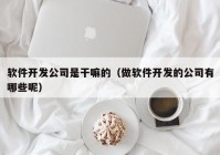 软件开发公司是干嘛的（做软件开发的公司有哪些呢）