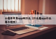 小程序开发app叫什么（什么是app什么是小程序）