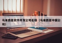 马来西亚软件开发公司名称（马来西亚中国公司）