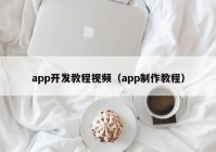 app开发教程视频（app制作教程）