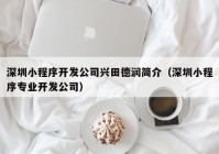 深圳小程序开发公司兴田德润简介（深圳小程序专业开发公司）