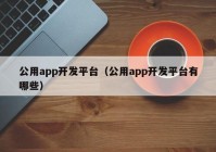 公用app开发平台（公用app开发平台有哪些）