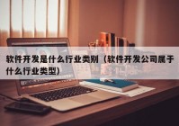 软件开发是什么行业类别（软件开发公司属于什么行业类型）