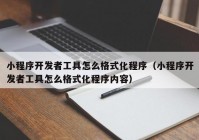 小程序开发者工具怎么格式化程序（小程序开发者工具怎么格式化程序内容）