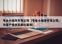 专业小程序开发公司（专业小程序开发公司,为客户提供定制化服务）