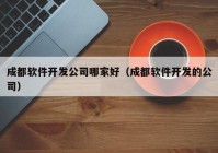 成都软件开发公司哪家好（成都软件开发的公司）