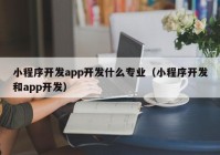 小程序开发app开发什么专业（小程序开发和app开发）