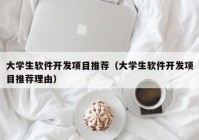 大学生软件开发项目推荐（大学生软件开发项目推荐理由）