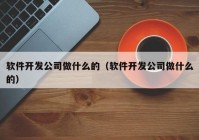 软件开发公司做什么的（软件开发公司做什么的）