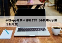 手机app开发平台哪个好（手机端app用什么开发）