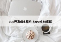 app开发成本结构（app成本规划）