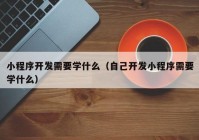 小程序开发需要学什么（自己开发小程序需要学什么）