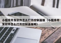 小程序开发软件怎么打开控制面板（小程序开发软件怎么打开控制面板呢）