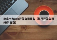 北京十大app开发公司排名（软件开发公司排行 北京）