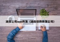 湖南公司app开发（湖南软件开发公司）