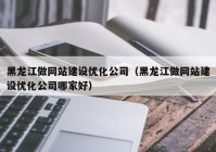 黑龙江做网站建设优化公司（黑龙江做网站建设优化公司哪家好）