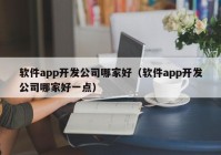 软件app开发公司哪家好（软件app开发公司哪家好一点）