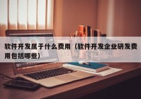 软件开发属于什么费用（软件开发企业研发费用包括哪些）