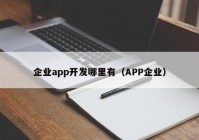 企业app开发哪里有（APP企业）